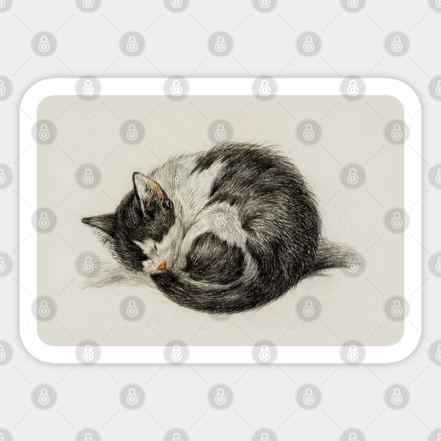 Rolled up lying sleeping cat (1825) by Jean Bernard Sticker by StasiaProducts